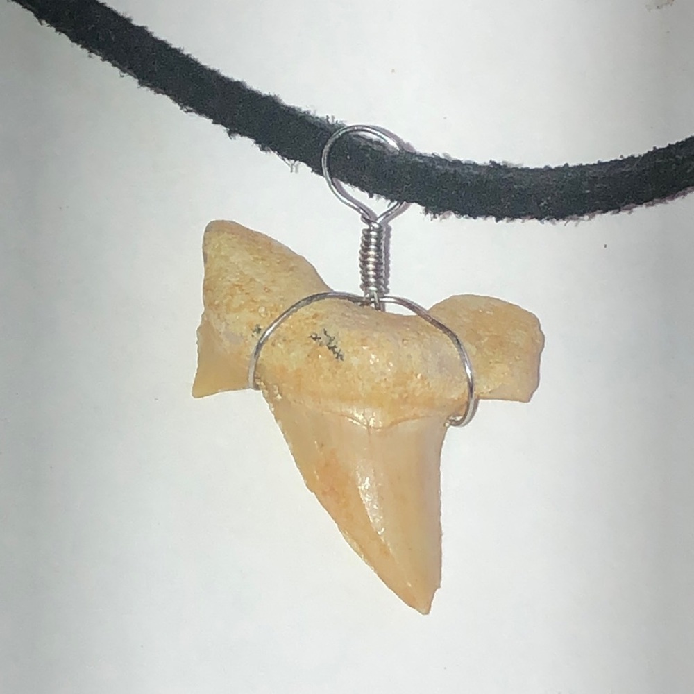 Natural Sharks Tooth Boho Pendant Necklace